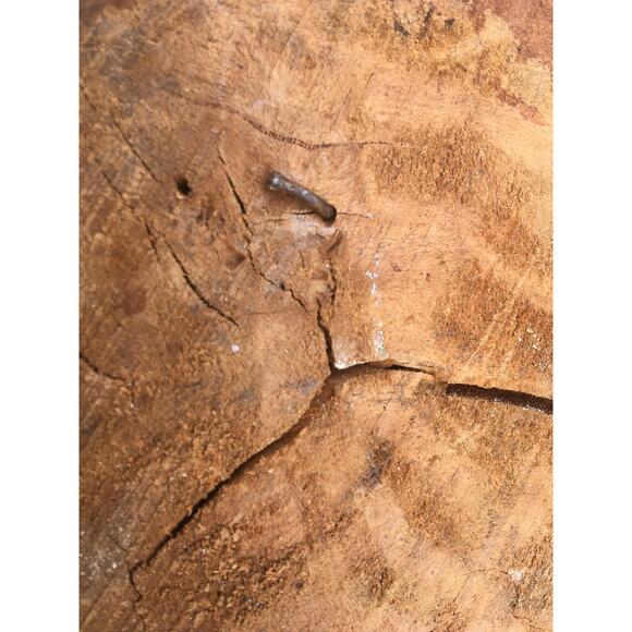 Vintage 1986 Wood Carving Mans Head with Mustache and Beard 16.5″x5 3/4″x3″ - Picture 6 of 6